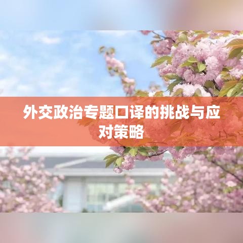 外交政治专题口译的挑战与应对策略