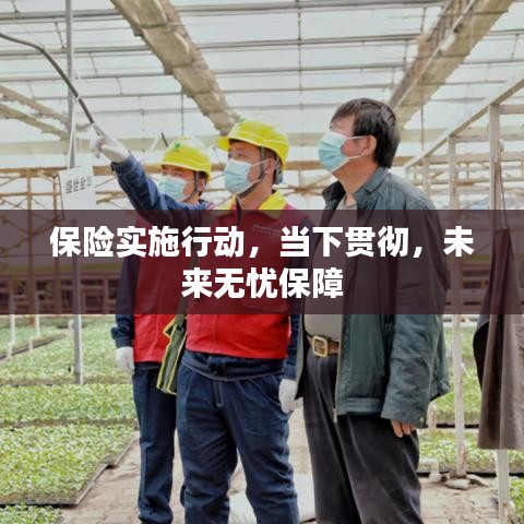 保险实施行动，当下贯彻，未来无忧保障