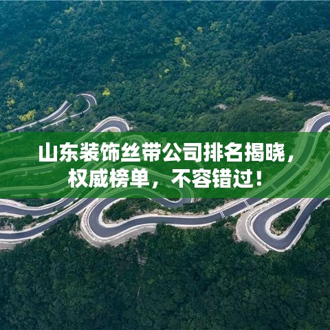 山东装饰丝带公司排名揭晓，权威榜单，不容错过！