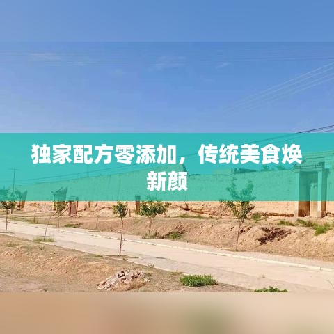 独家配方零添加，传统美食焕新颜