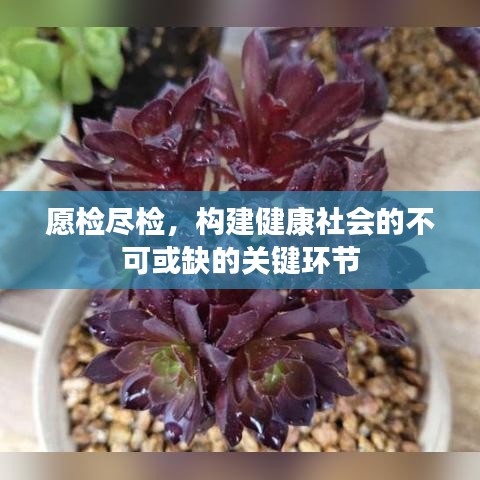 愿检尽检，构建健康社会的不可或缺的关键环节