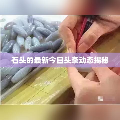 石头的最新今日头条动态揭秘