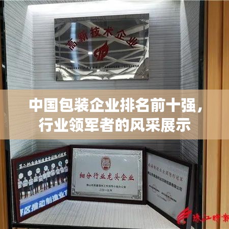中国包装企业排名前十强，行业领军者的风采展示