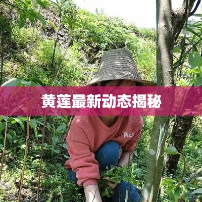 举世无双 第2页