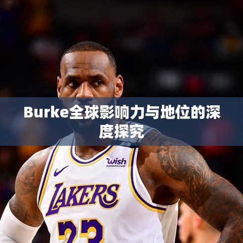 Burke全球影响力与地位的深度探究
