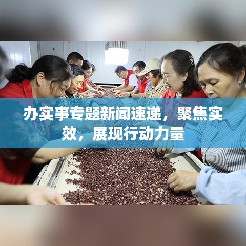 办实事专题新闻速递，聚焦实效，展现行动力量