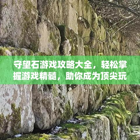 守望石游戏攻略大全，轻松掌握游戏精髓，助你成为顶尖玩家