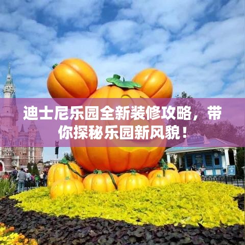 迪士尼乐园全新装修攻略，带你探秘乐园新风貌！