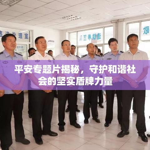 平安专题片揭秘，守护和谐社会的坚实盾牌力量
