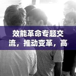 效能革命专题交流，推动变革，高效发展之路