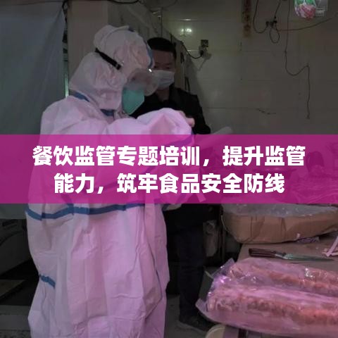 餐饮监管专题培训，提升监管能力，筑牢食品安全防线