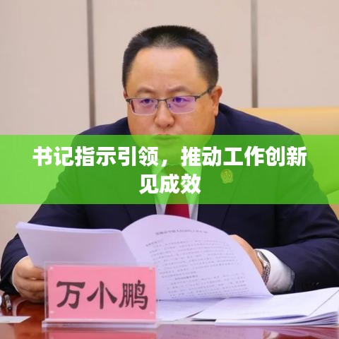 书记指示引领，推动工作创新见成效