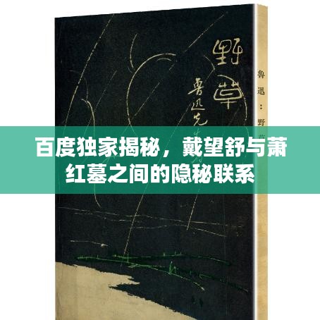 百度独家揭秘，戴望舒与萧红墓之间的隐秘联系