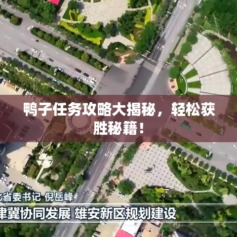 鸭子任务攻略大揭秘，轻松获胜秘籍！