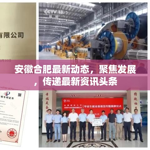 安徽合肥最新动态，聚焦发展，传递最新资讯头条