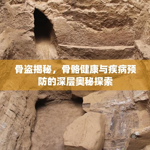 骨盗揭秘，骨骼健康与疾病预防的深层奥秘探索