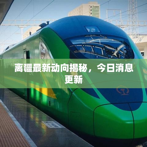 离疆最新动向揭秘，今日消息更新