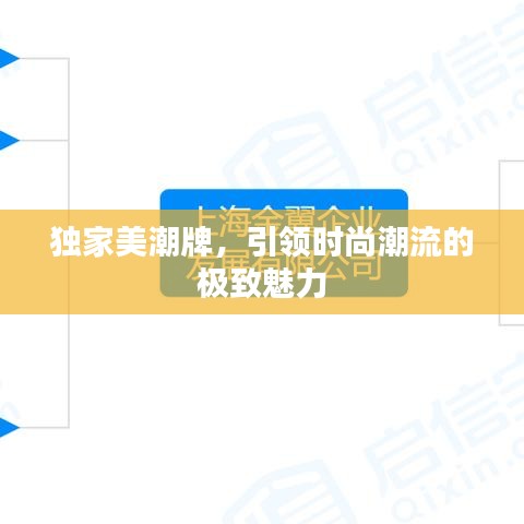独家美潮牌，引领时尚潮流的极致魅力