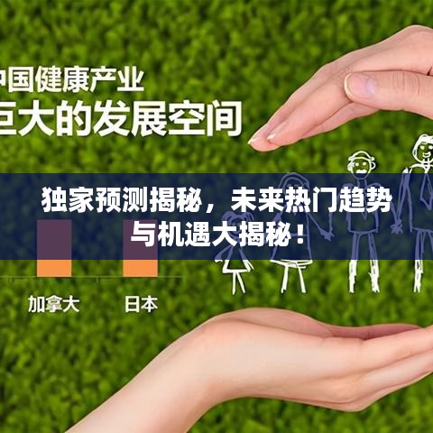独家预测揭秘，未来热门趋势与机遇大揭秘！