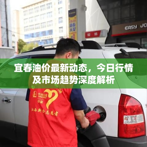 宜春油价最新动态，今日行情及市场趋势深度解析