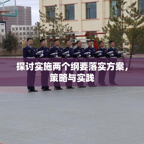 探讨实施两个纲要落实方案，策略与实践