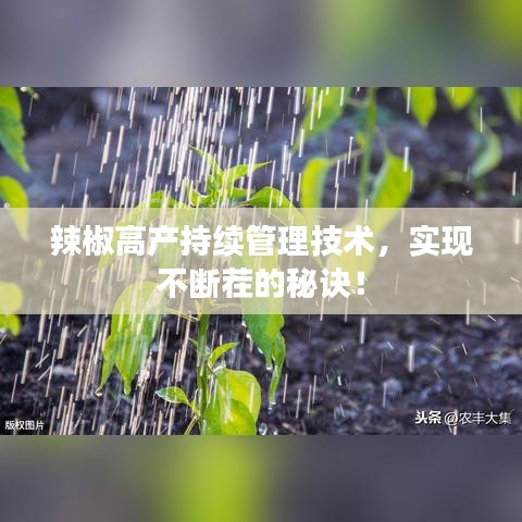 辣椒高产持续管理技术，实现不断茬的秘诀！