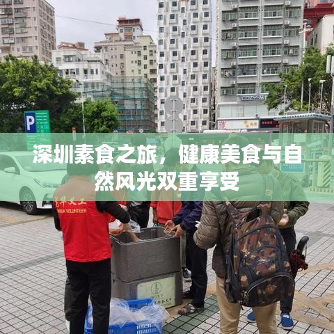 深圳素食之旅，健康美食与自然风光双重享受