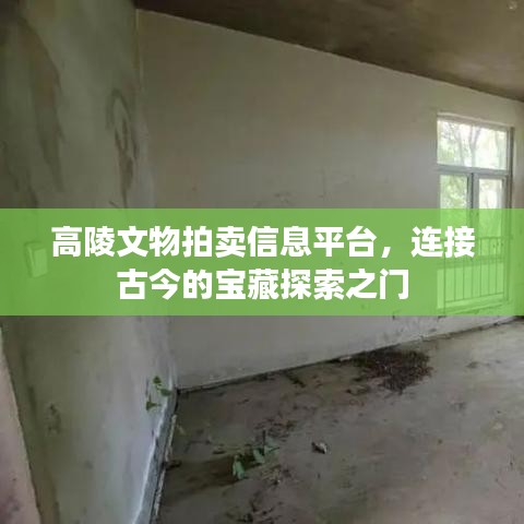 高陵文物拍卖信息平台，连接古今的宝藏探索之门