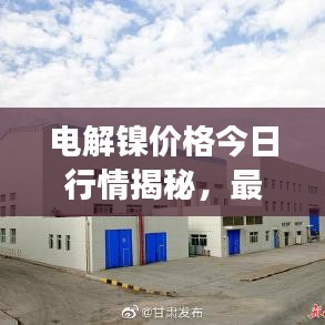 电解镍价格今日行情揭秘，最新市场动态一网打尽！