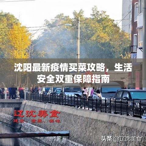 沈阳最新疫情买菜攻略，生活安全双重保障指南