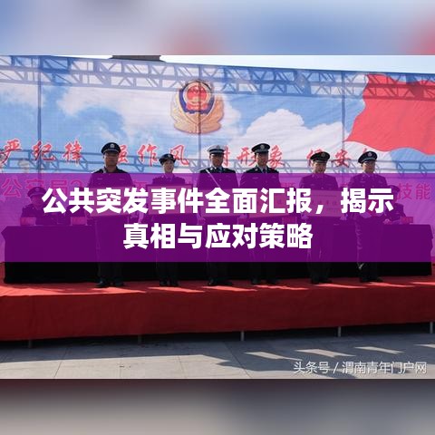 公共突发事件全面汇报，揭示真相与应对策略