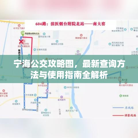 宁海公交攻略图，最新查询方法与使用指南全解析