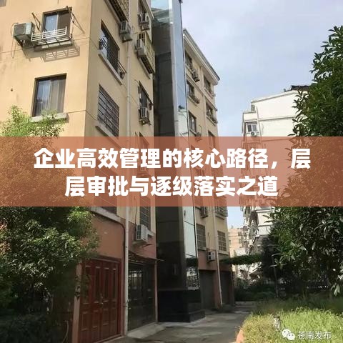 企业高效管理的核心路径，层层审批与逐级落实之道