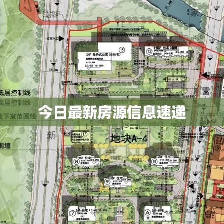 今日最新房源信息速递