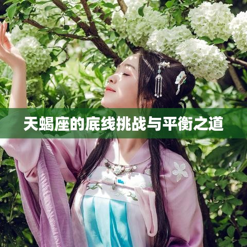 天蝎座的底线挑战与平衡之道