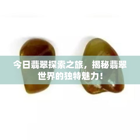今日翡翠探索之旅，揭秘翡翠世界的独特魅力！