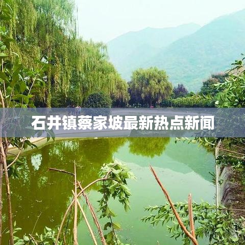 石井镇蔡家坡最新热点新闻