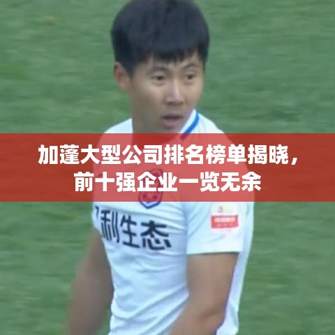 加蓬大型公司排名榜单揭晓，前十强企业一览无余