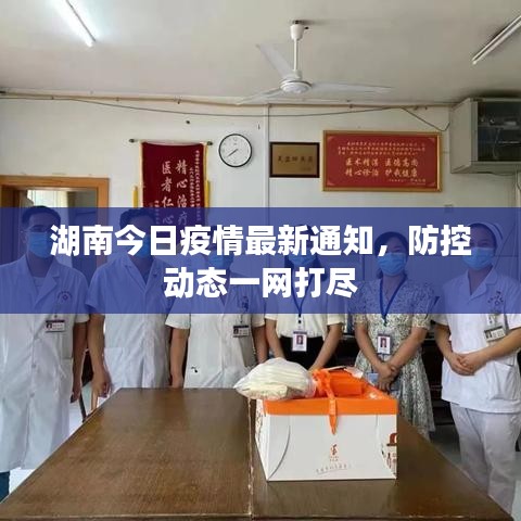 湖南今日疫情最新通知，防控动态一网打尽
