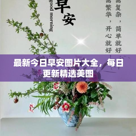 最新今日早安图片大全，每日更新精选美图
