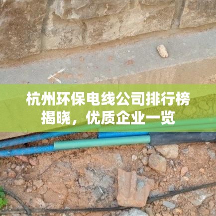 杭州环保电线公司排行榜揭晓，优质企业一览