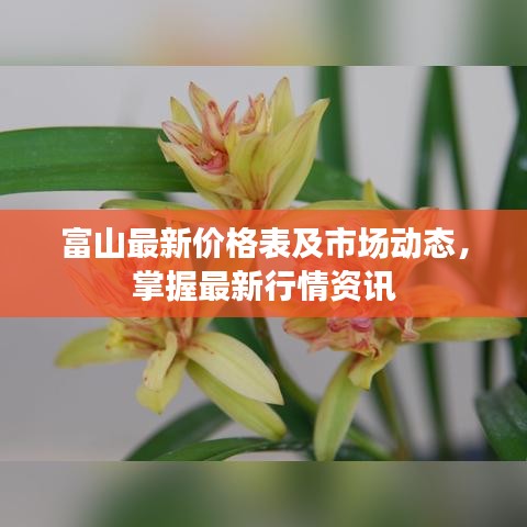 富山最新价格表及市场动态，掌握最新行情资讯