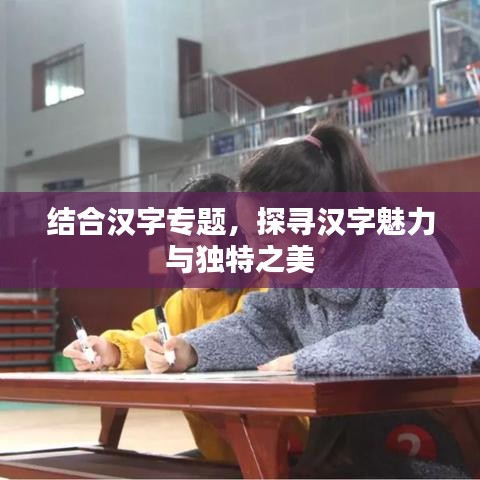 结合汉字专题，探寻汉字魅力与独特之美
