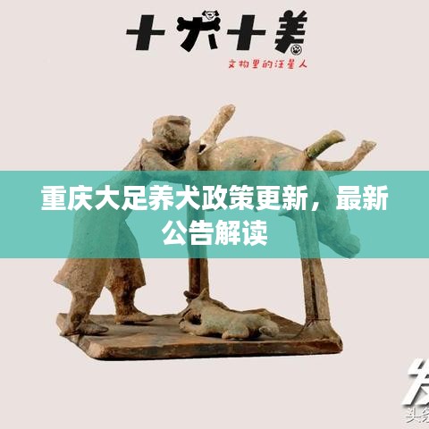 重庆大足养犬政策更新，最新公告解读