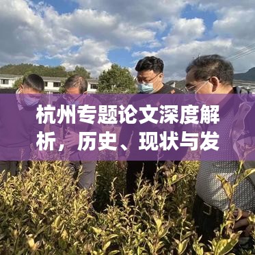 杭州专题论文深度解析，历史、现状与发展战略