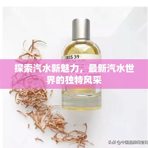 鸟骇鼠窜 第2页