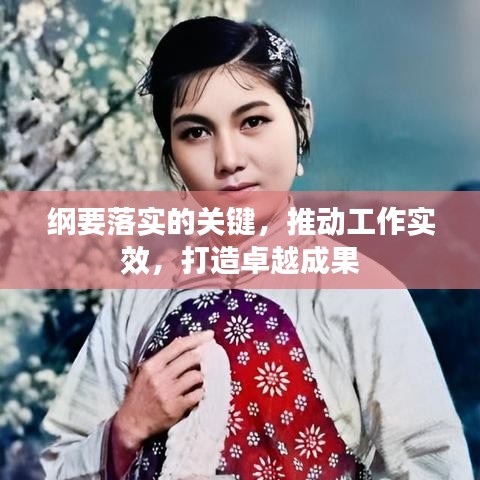 纲要落实的关键，推动工作实效，打造卓越成果