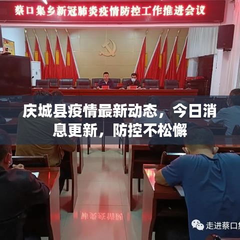 庆城县疫情最新动态，今日消息更新，防控不松懈
