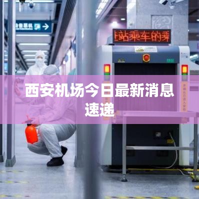 抛砖引玉 第2页