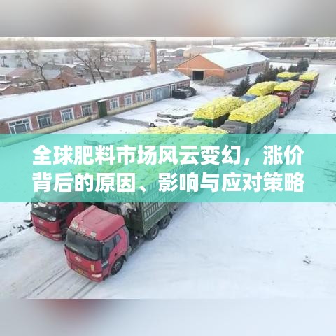 全球肥料市场风云变幻，涨价背后的原因、影响与应对策略解析